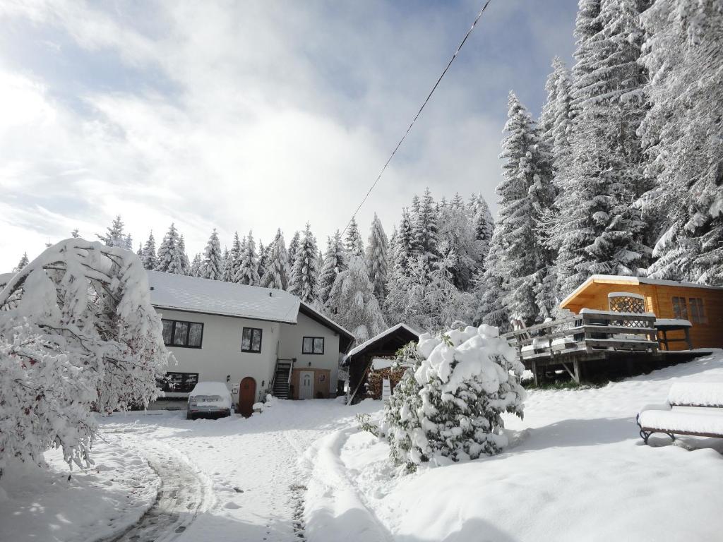 Ferienhaus Hollinger Διαμέρισμα Verditz Εξωτερικό φωτογραφία